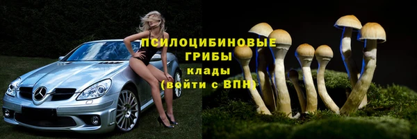 прущие крисы Покачи